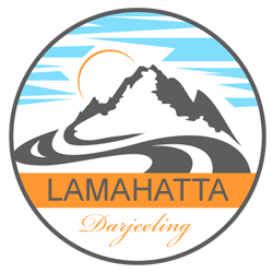 Lamahatta - Yangdup Homestay